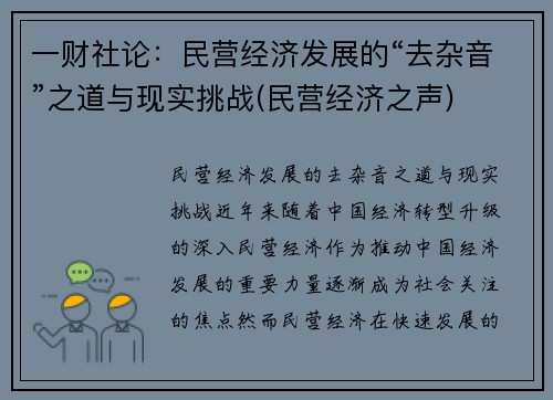 一财社论：民营经济发展的“去杂音”之道与现实挑战(民营经济之声)