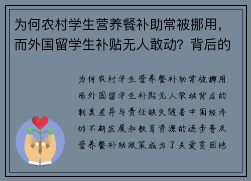 为何农村学生营养餐补助常被挪用，而外国留学生补贴无人敢动？背后的制度差异与责任缺失