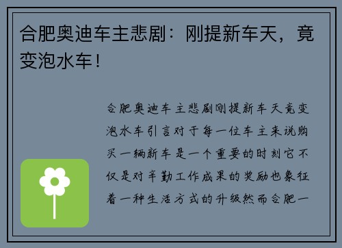 合肥奥迪车主悲剧：刚提新车天，竟变泡水车！